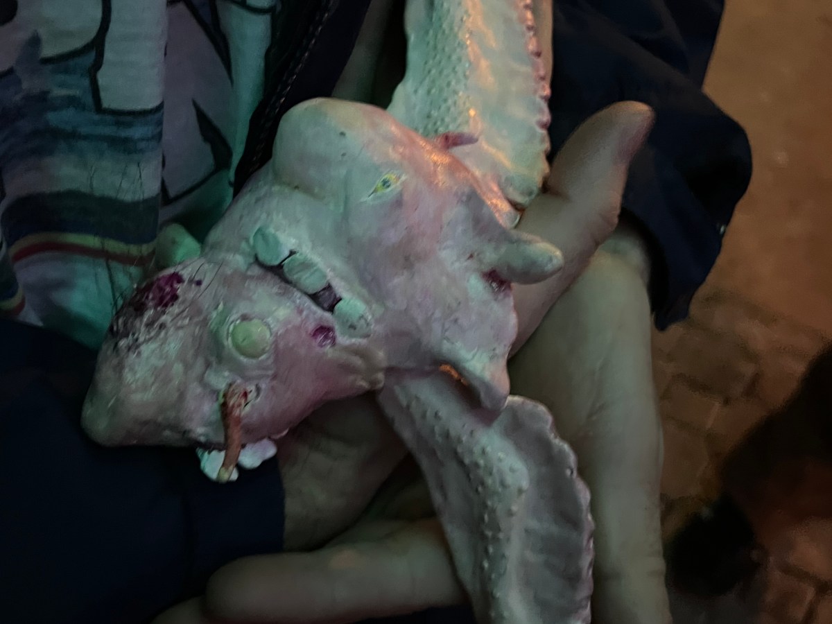 homunculus queen/angel fetus&nbsp;2026